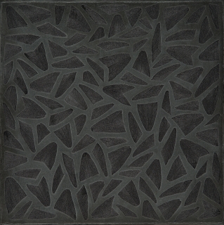 F2120 FOLLICOLI  I.jpg