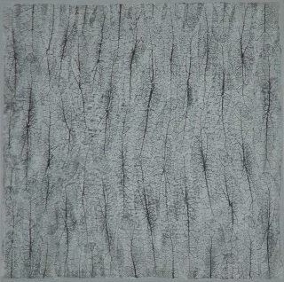 T1226 IL CANTO DELL'OMBRA.jpg