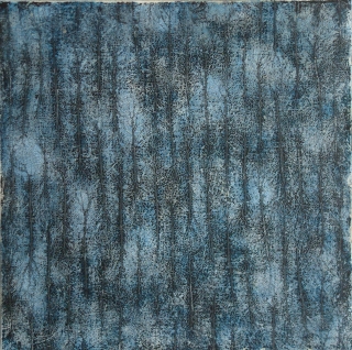 T1124 SVANITO NEL BLU.jpg