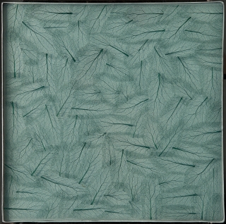 T1833 LUCERNA III.jpg