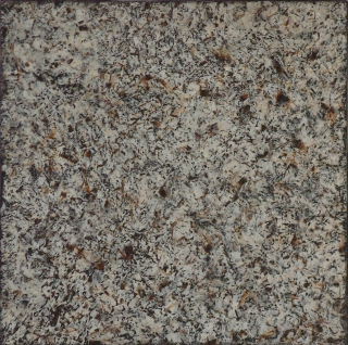 E1204 MEMORIA D'EQUISETO  IV.jpg