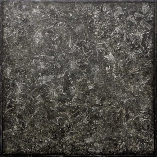 E1402 EQUI-TERRA VIII (5).jpg