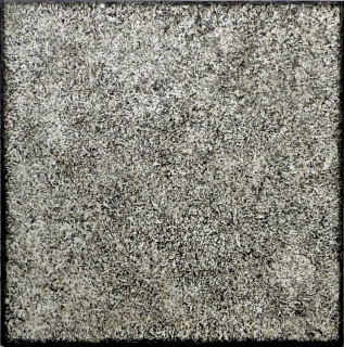 E1403 EQUI-TERRA IX (1).jpg