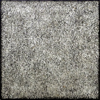 E1404 EQUI-TERRA X (9).jpg