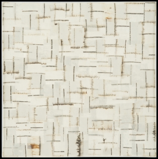 E2007 EQUI SEGNI.jpg